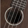 Укулеле-концерт BATON ROUGE UV11-C-SCC натурального цвета