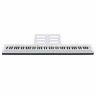 Цифровое фортепиано EMILY PIANO  D-2088 WH