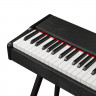 Цифровое фортепиано EMILY PIANO  D-47 BK
