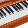 Цифровое фортепиано EMILY PIANO  D-47 BR