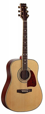 Martinez FAW-807 акустическая гитара