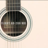 Flight AD-200 WH акустическая гитара