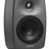 Монитор ближнего поля Genelec 8430APM активный 2-полосный