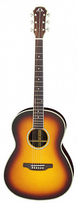 Aria MSG-02 BS акустическая гитара