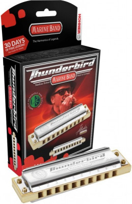 Hohner Marine Band Thunderbird D Low губная гармошка диатоническая