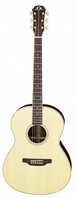 Aria MSG-02 N акустическая гитара