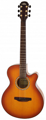 Aria TG-1 LVS акустическая гитара