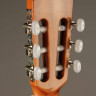 PEREZ 630 Cedar 4/4 классическая гитара