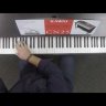 Цифровое пианино Kawai CN25W 88 клавиш, 192 полифония