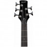 Бас-гитара 5-ти струнная TERRIS THB-43-5 цвет черный
