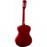 Классическая гитара 4/4 TERRIS TC-3805A NA цвет - натуральный