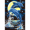 Набор юного художника 20х30 Лунные дельфины (8 цветов)