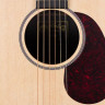 Martin DX1RAE электроакустическая гитара