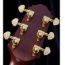 CRAFTER STG G-22ce электроакустическая гитара с чехлом