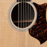 Martin GPCPA5K электроакустическая гитара