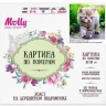 Картина по номерам 30х30 Голубоглазое чудо (20 цветов)