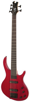Epiphone Toby Deluxe-V Bass (gloss) TR бас-гитара