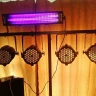 UV-светильник EURO DJ BLACKLIGHT 20