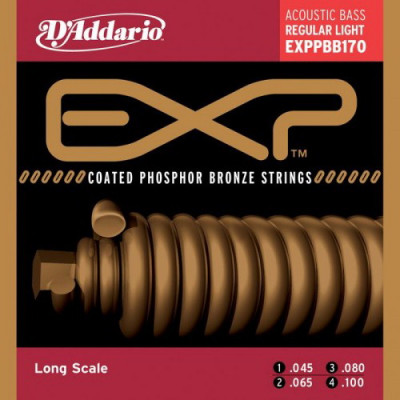 D'ADDARIO EXPPBB170 Regular Light 45-100 струны для 4-струнной акустической  бас-гитары