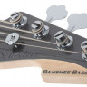 SCHECTER BANSHEE BASS CG бас-гитара