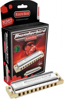 Губная гармошка HOHNER Marine Band Thunderbird Low A (M201173X) с уроками