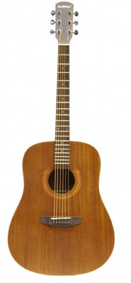 BULLDOG DN-Sigma 5 акустическая гитара