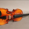 Скрипка 1/2 FLIGHT TV1/2P полный комплект