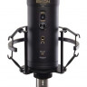 Конденсаторный микрофон PROEL EIKON CM14USB USB/XLR, 20-20 000 Гц