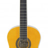 ARIA FIESTA FST-200-53 N 1/2 классическая гитара