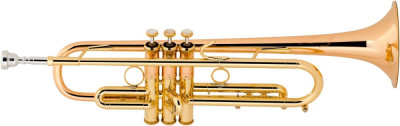 Труба Bach LT1901B Bb Stradivarius