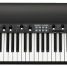 KORG SV2-88 цифровое пианино сценическое