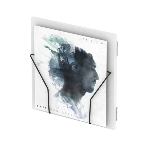 Подставка-дверца для систем хранения пластинок Glorious Record Box Display Door White, цвет белый