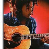 AM933504 Bob Marley: Songs Of Freedom Guitar Recorded Versions