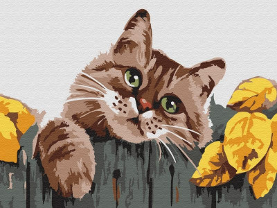 Картина по номерам 15х20 МЯУ (12 цветов)