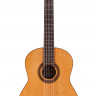 CORDOBA IBERIA C5 Limited классическая гитара