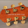 Crafter SR-Rose Plus электроакустическая гитара