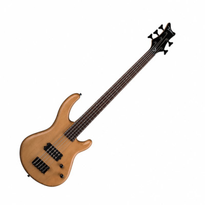 DEAN E1 5 VN 5-струнная бас-гитара