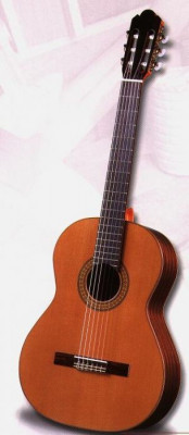 Antonio Sanchez S-1010 Cedar 4/4 классическая гитара